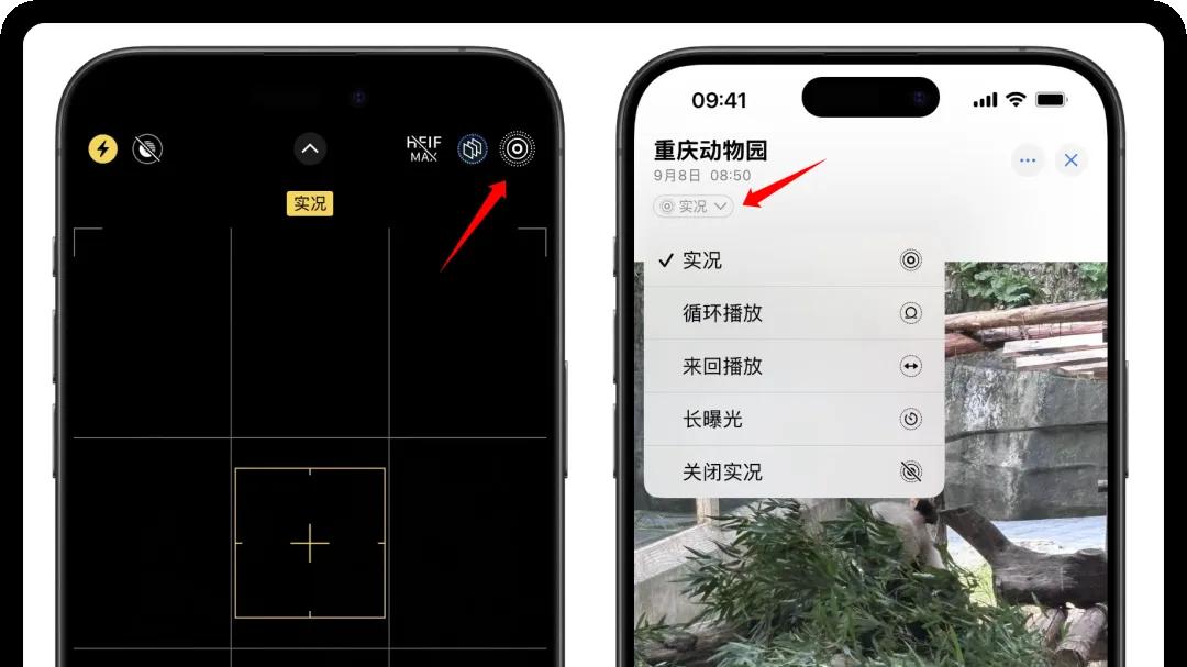 iOS 微信更新，新功能真香