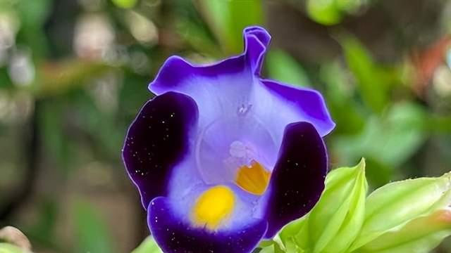 十二生肖职场防小人秘籍，助你顺利过今年！