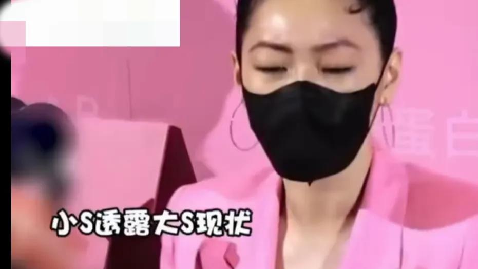 小S：我姐最近经济确实紧张，劝她出来上班，反而被她骂了