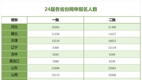 备考国家电网25届一批须知：24年网申报名人数