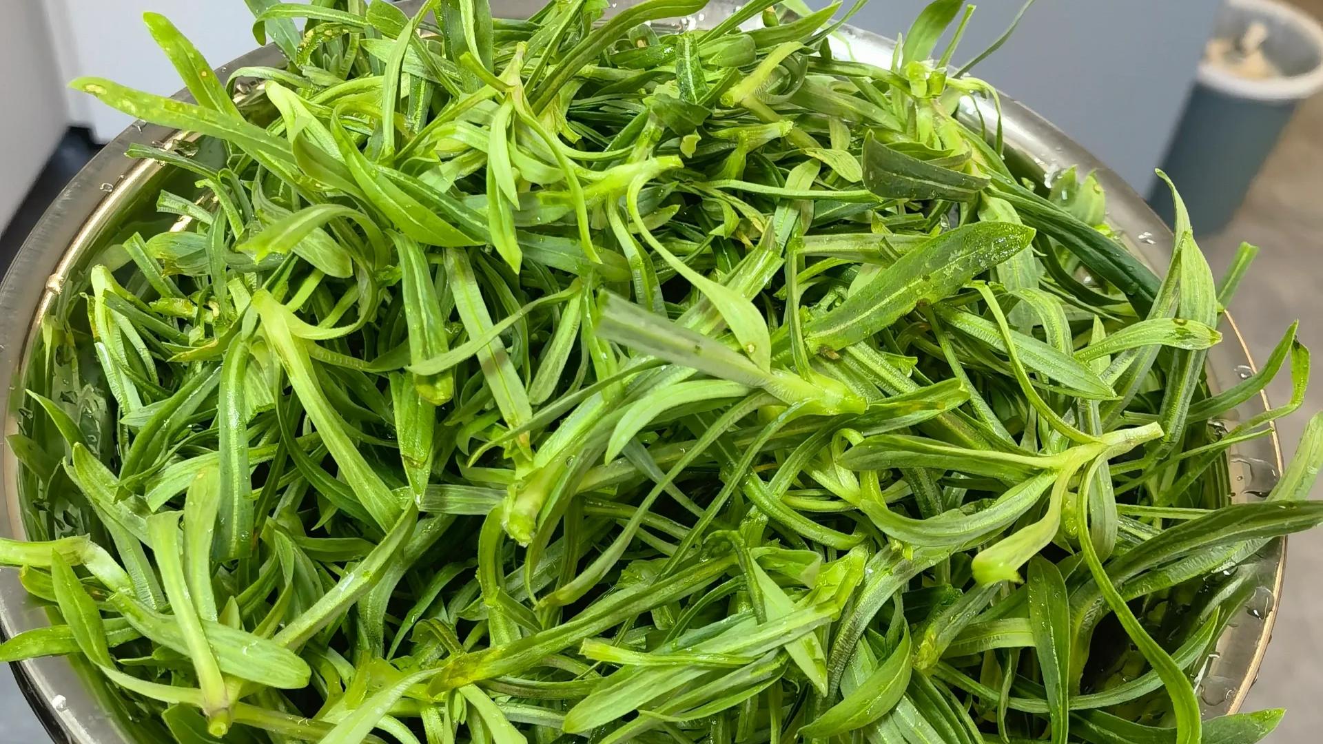 一利尿，二润肺，三养胃，四健脾，这菜全身都是宝，很多人不知道