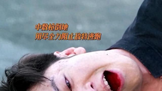 《暗夜与黎明》大结局：林少白连中三枪生命垂危，白头翁背叛伯劳