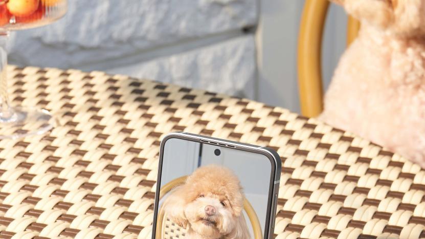 三星Galaxy系列旗舰三剑客：解锁秋日拍照新姿势