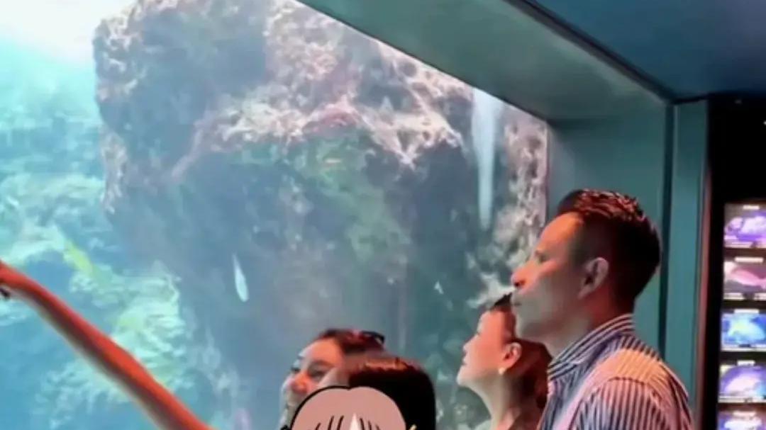 汪小菲全家温馨亮相，马筱梅与小玥儿如闺蜜同行，张兰眼中只有宝贝孙子