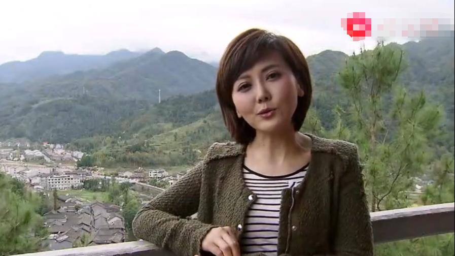 至今未嫁人的央视女主持，李梓萌、欧阳夏丹、柴璐、张越，长得美