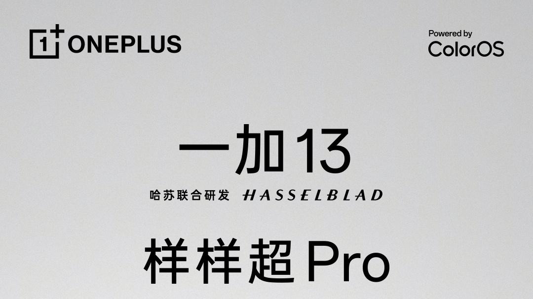 王安全：选一加 13最安全