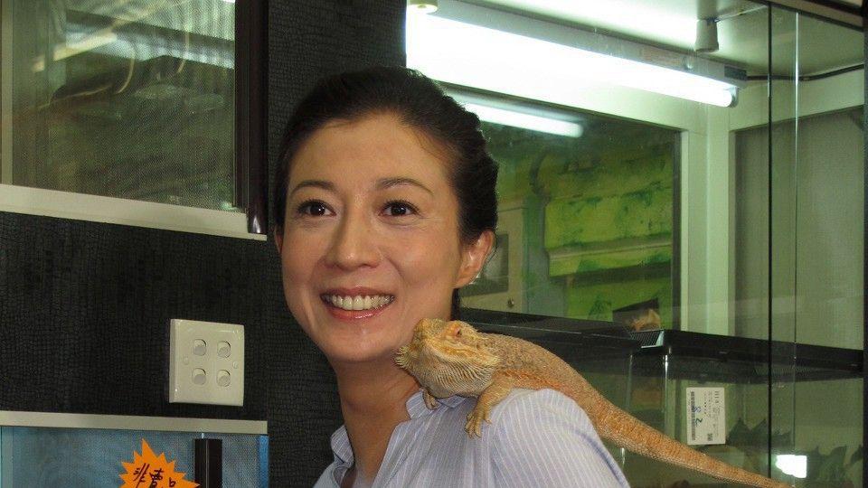 吴绮莉接纳同性恋女儿，成龙还是没有动静，他是真的不认女儿了吗