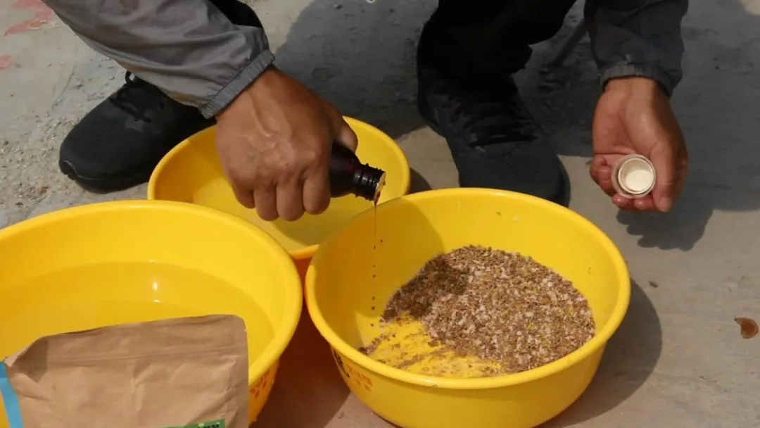 作为钓鱼人，能让鱼快速开口的3种药材，你都知道是什么吗？