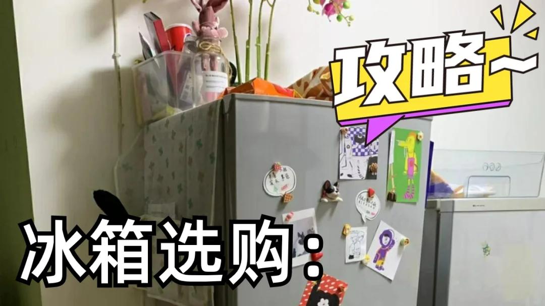 换了3台冰箱，我明白了，宁愿多花点钱，一定要坚持“5个不买”
