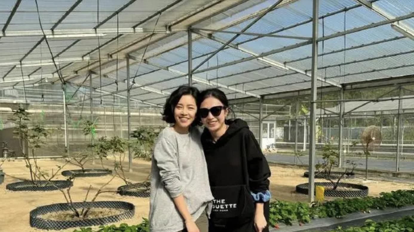 女富豪甘比的生活近照，平时都喜欢过着田园生活，有空就种点菜