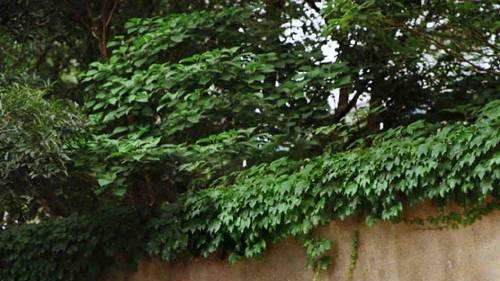 赵丽颖短发造型帅气利落：穿高腰牛仔裤，展现松弛随性之美