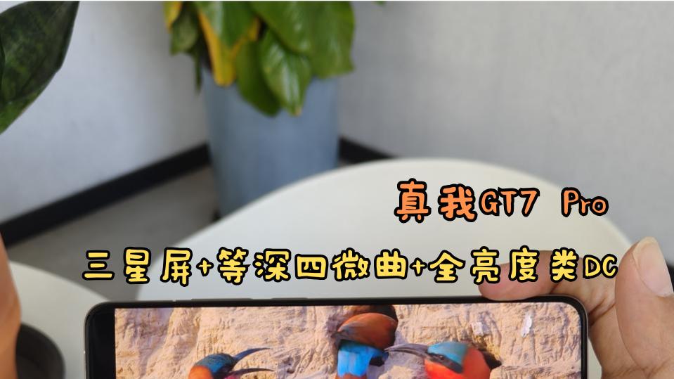 三星屏+等深四微曲+全亮度类DC=版本答案？