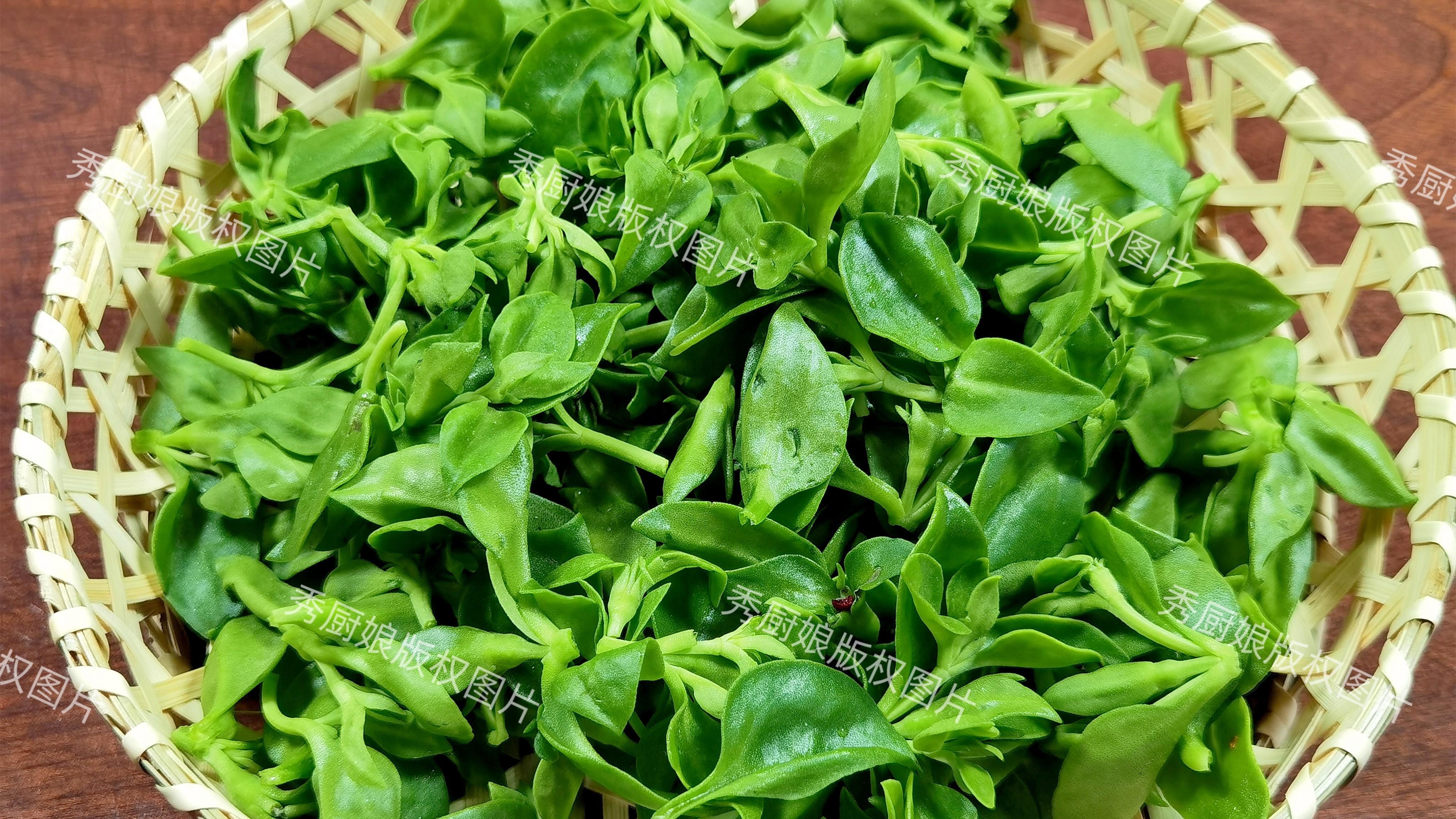 入伏前，这菜使劲吃，一养心、二护肝、三祛火，可惜很多人当草！