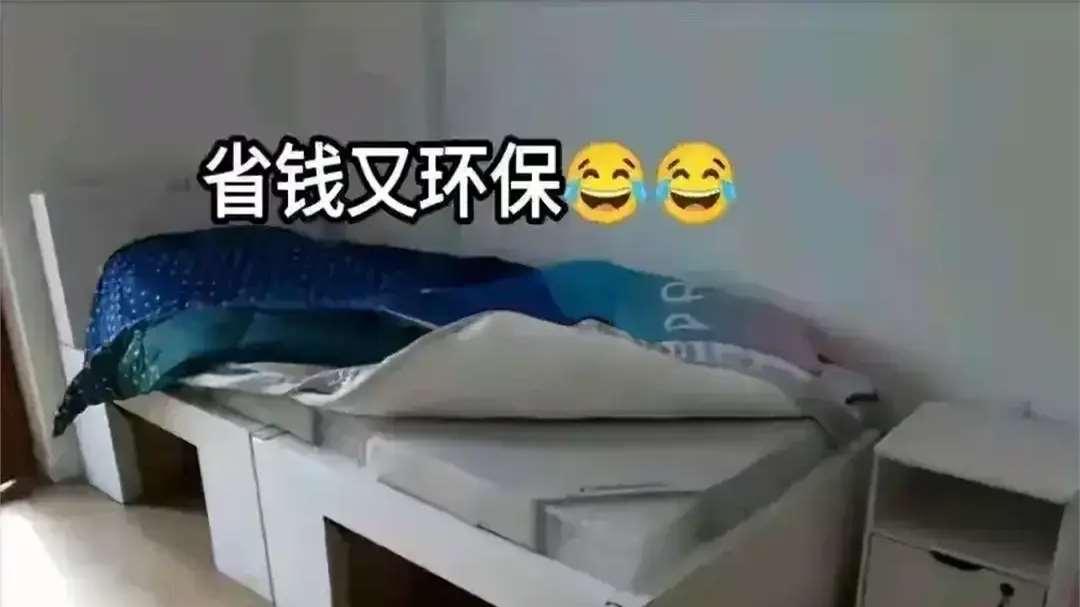 闹大了！陈若琳晒出全红婵的奥运房间，评论区粉丝炸锅