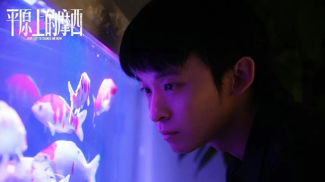 热度不高，但口碑“炸裂”的5部剧，若看过三部以上我佩服你！