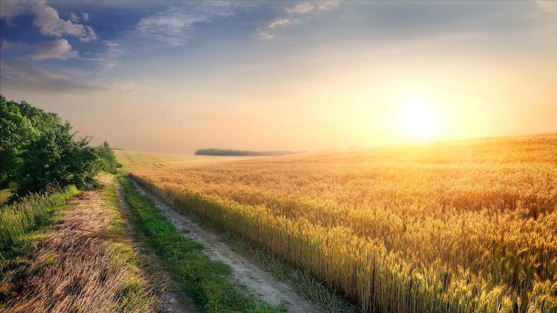 南方多地出现“秋老虎”，农谚说“秋虎出山坟堆堆”，有啥预兆？