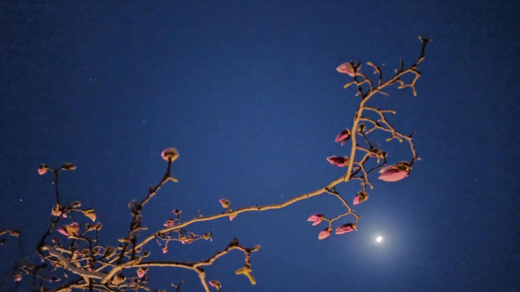 张国荣，做人为什么要那么假？