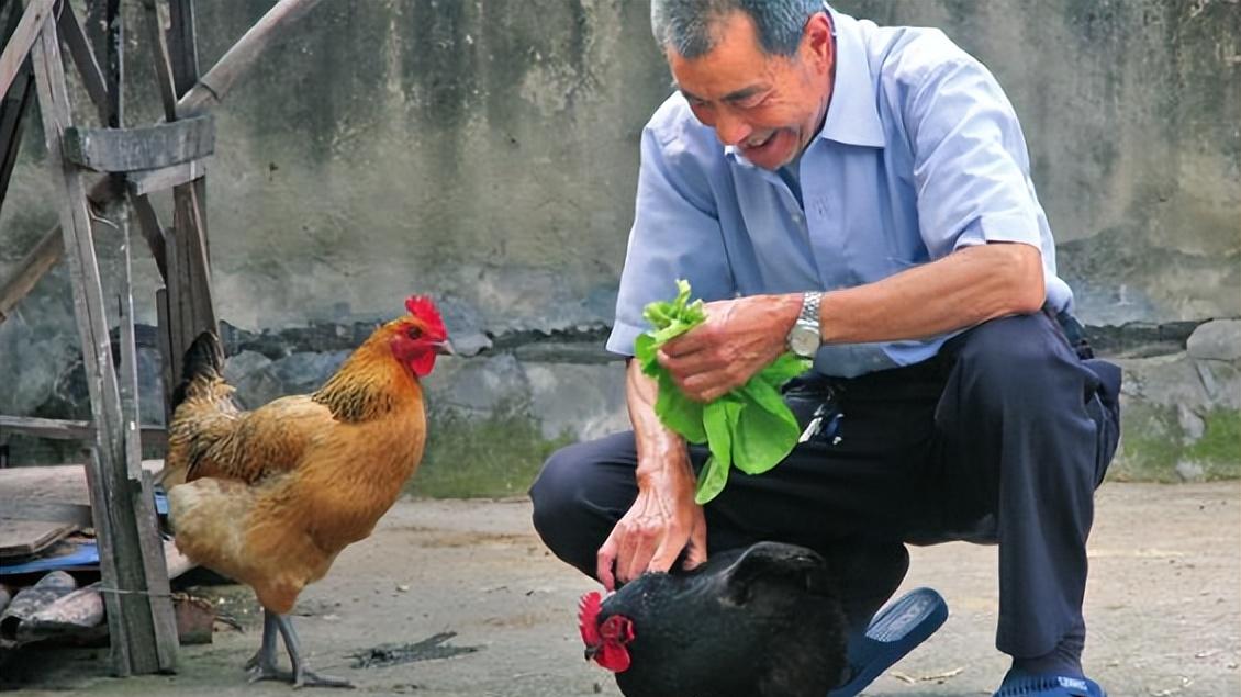 家常炖鸡汤：牢记多“放2样”，汤鲜肉嫩无腥味，老少皆宜