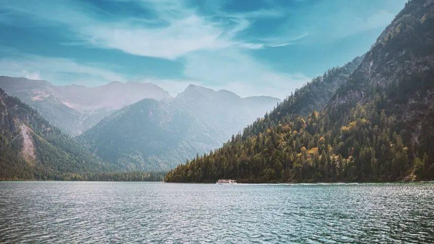 海尔美的等头部家电企业重启O2O模式赋能实体店