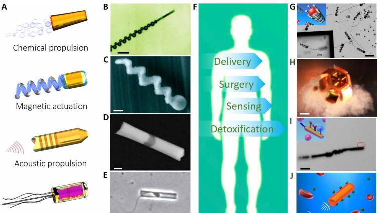 水凝胶微型机器人，材料多样性能优