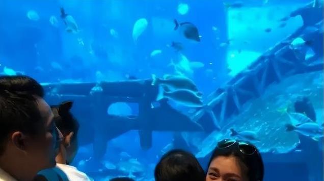 汪小菲带两个孩子重游大S旧地水族馆，小玥儿要考清华回北京！