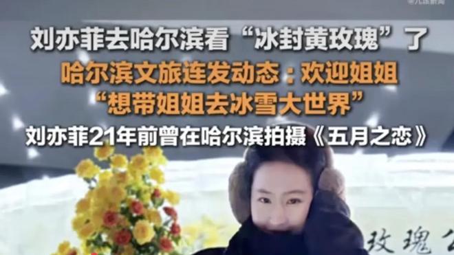 刘亦菲晒出哈尔滨打卡黄玫瑰，包包衣服价格不菲，回家顺带看姥姥