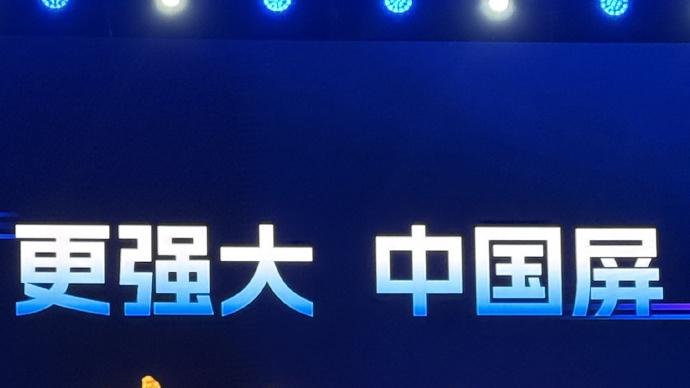 参加了维信诺发布会，国产屏幕黑马了解一下？