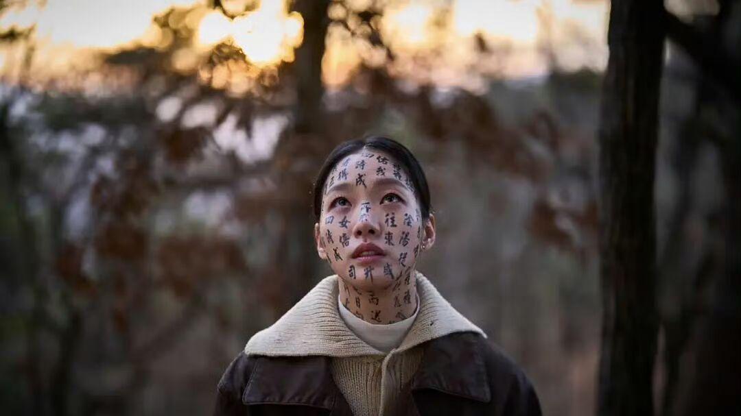 韩国电影偷完汉字之后，表示汉字不算是中文，而是亚洲的官方语言