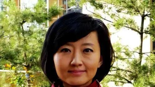 知名主持人柴静：从移民海外到抨击中国，她究竟经历了什么？