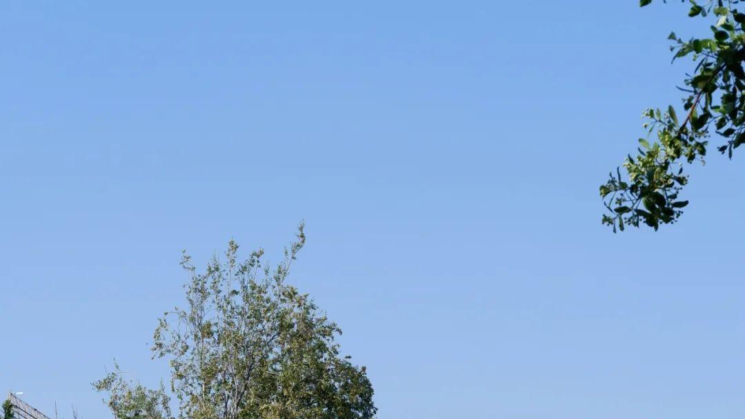 跑步减肥，从此告别无效努力！看完这份指南，你绝对会爱上跑步！