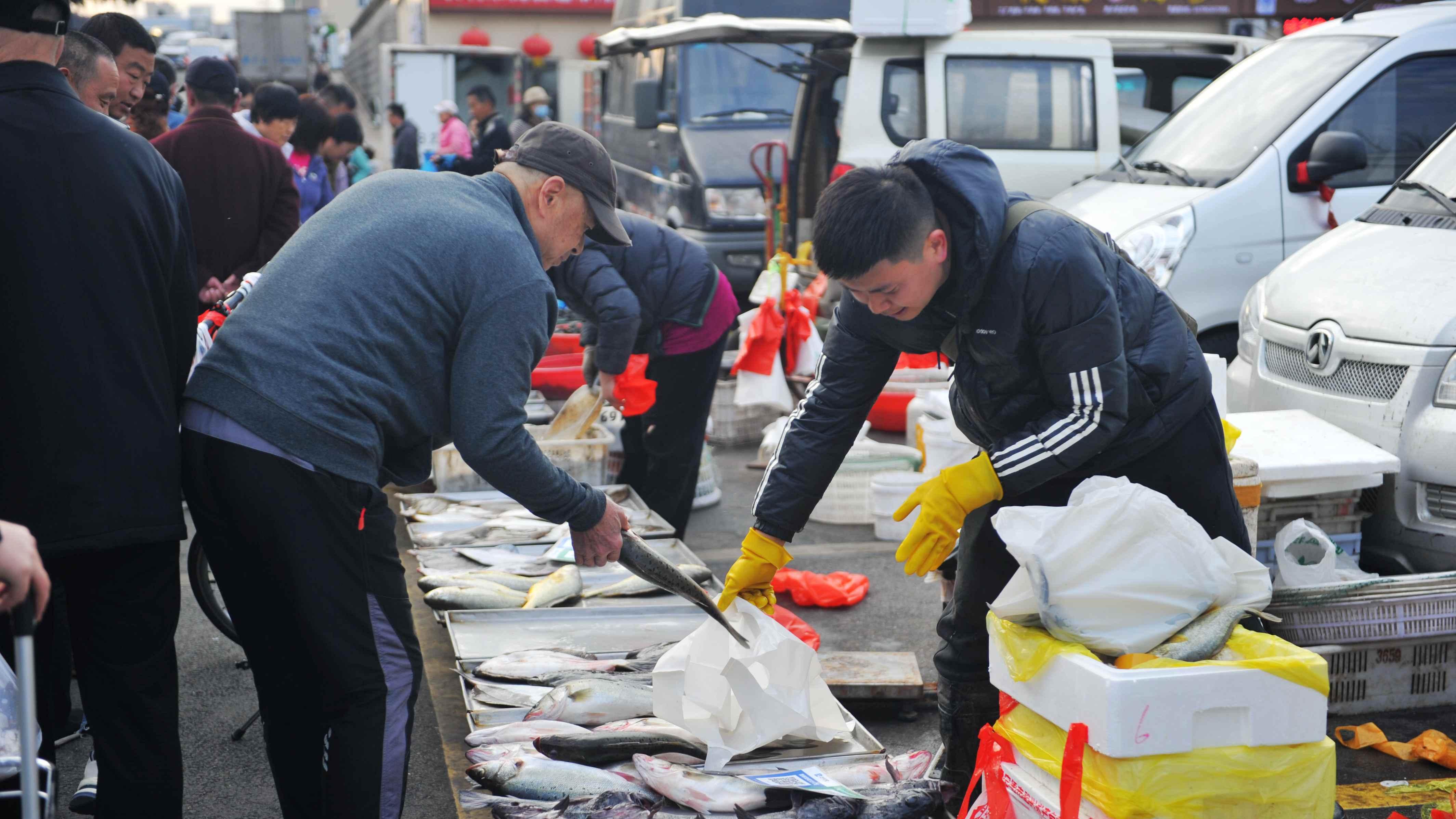 清明假期，青岛海鲜市场人头攒动，36一斤大鲅鱼“失宠”让人诧异