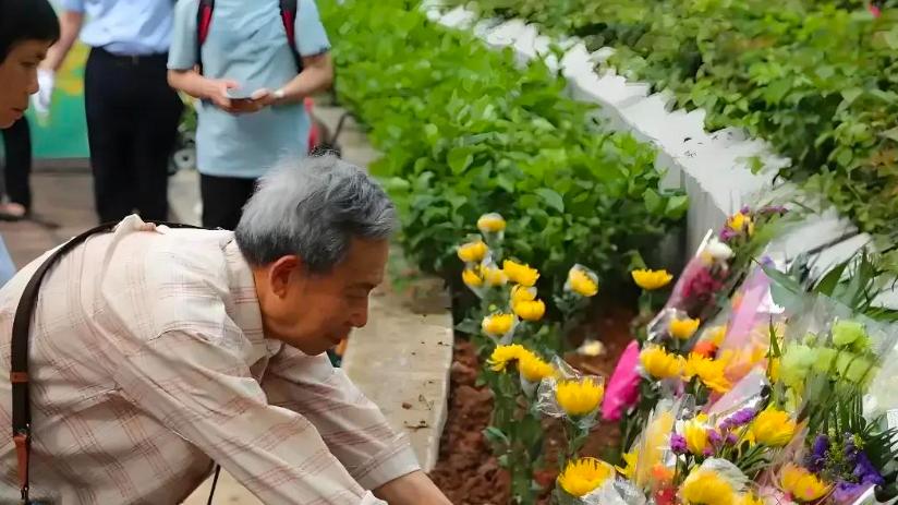 花葬阳明山！琼瑶最爱的人还是他啊！终于如愿！