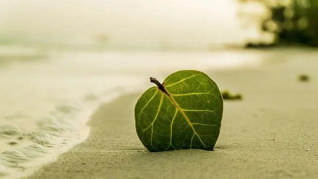 领导不再信任你了，不会明说，但这3个行为特别明显