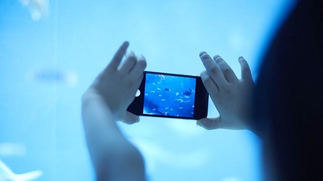 教你永久关闭手机系统更新，让老旧手机保持流畅，不再卡顿