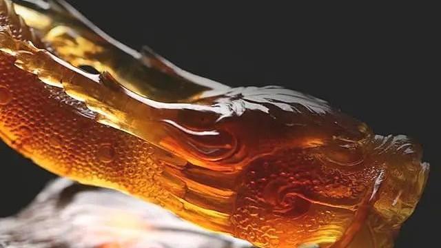 藏在琥珀里的龙影奇踪