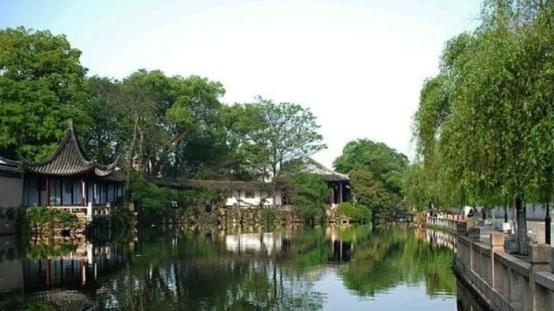 钓手蹲守公园7天，80斤“青鱼王”上岸，富商万元收购引发热议！