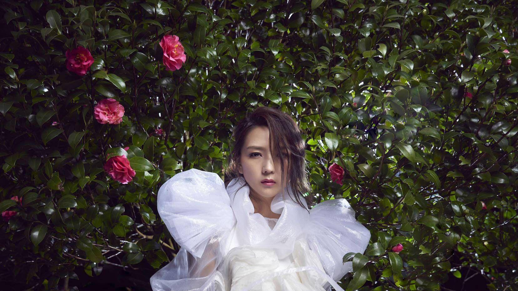 《乘风2024》三公分组选曲：6大组竞技，陈丽君刘忻卸任队长