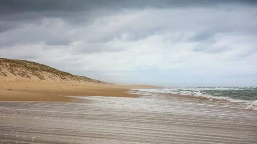 家电“国补”政策断舍离：美的海尔长虹突破苏泊尔海信TCL转身