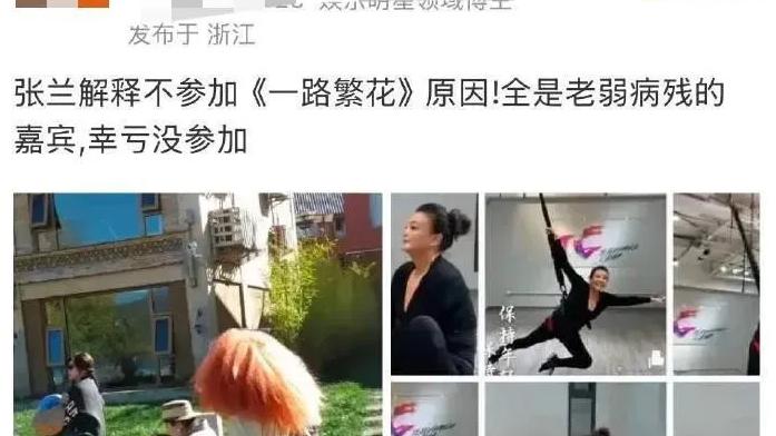 向太，倪萍接连献丑！一个内涵张兰臭蟑螂，一个讽刺刘晓庆心眼多