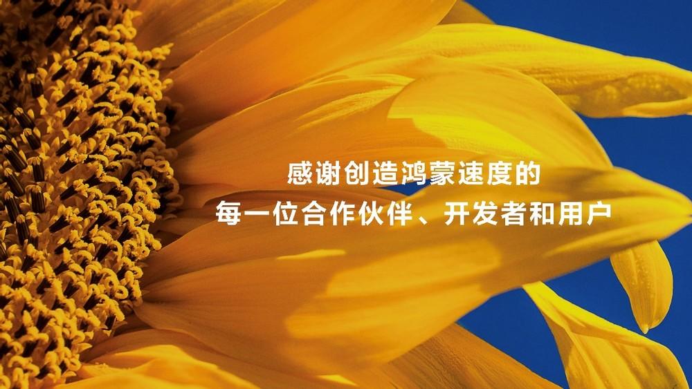 HarmonyOS NEXT发布！鸿蒙原生应用一天迭代一版本