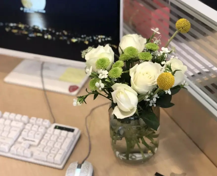 龙吟师傅：办公室里不同方位摆放的花朵颜色