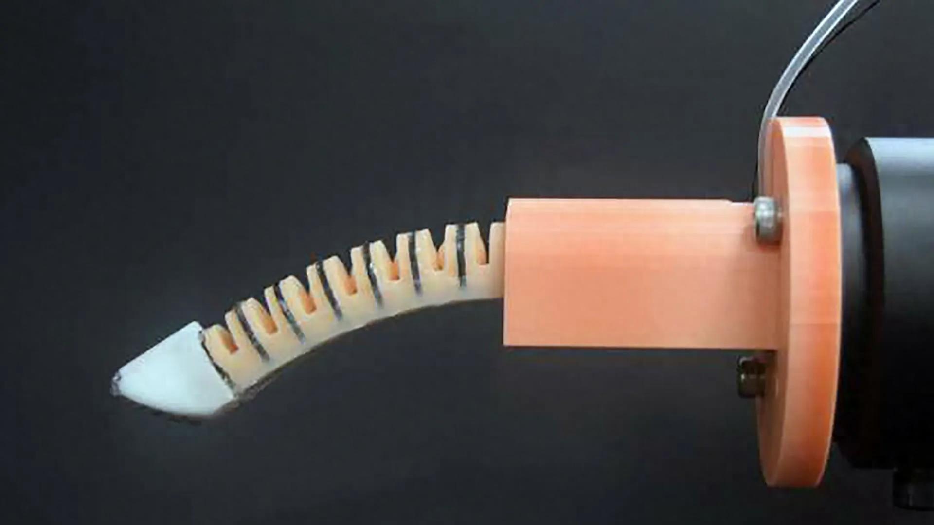 机器人“手指”可以为你进行下一次亲密体检