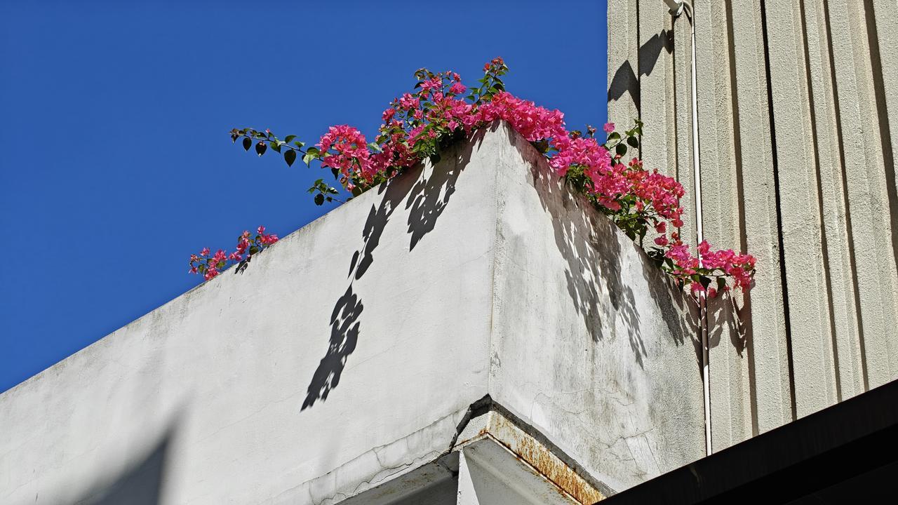 标准版的价格Pro级体验，一加13走向极致