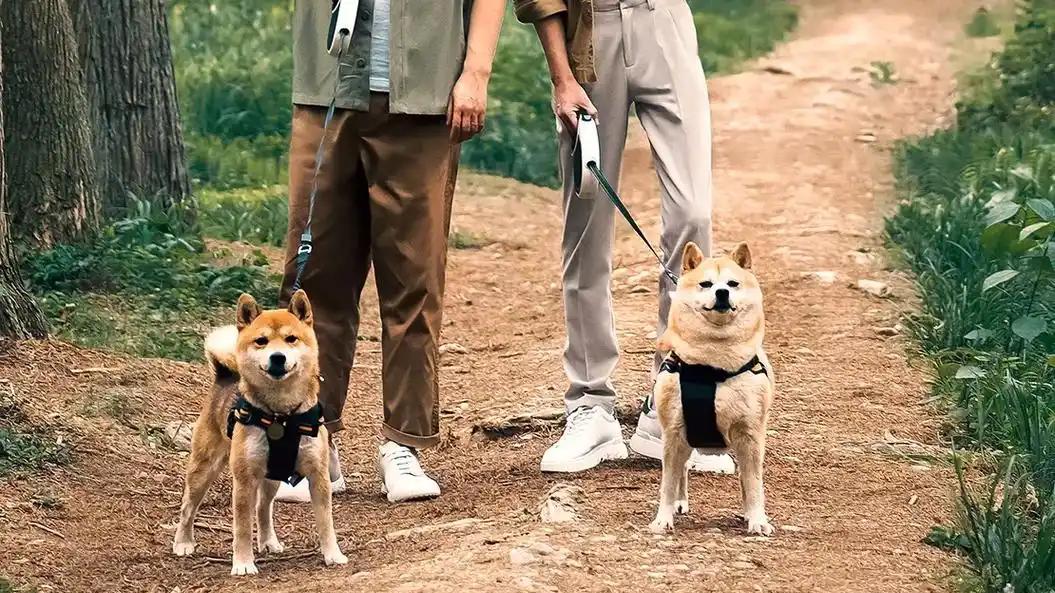 《向往的生活 8》路透来袭：全员回归，三兄妹重聚，宠物犬回归，回忆拉满