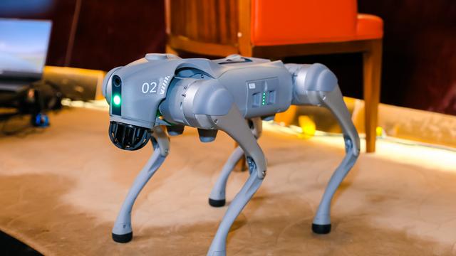 打造全球雙萬兆之城，上海電信如何有所作為？