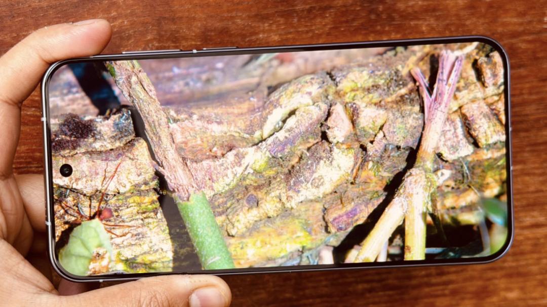 我試過一款真正很棒的小型手機，希望三星和蘋果能關注