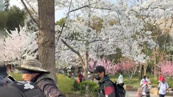 李现公园打鸟被偶遇，网友：要回归花鸟使本体了