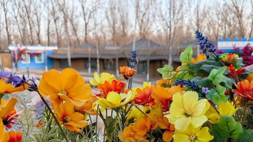 华为Pura 80发布在即，鸿蒙版微信近十项功能同步更新