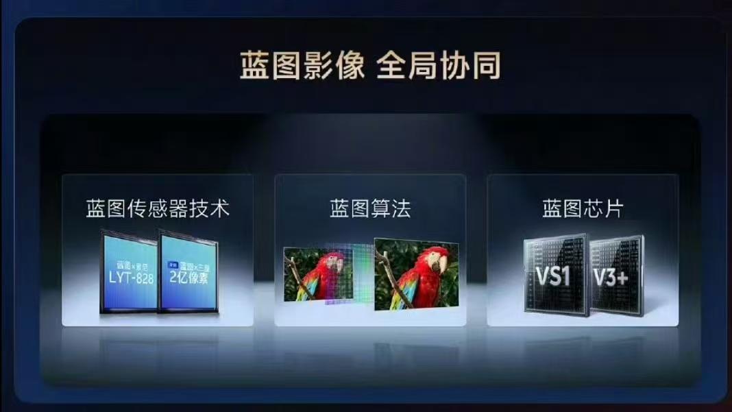 vivo X300 首发天玑9500： V3+ 嵌入，NPU 定制影像反超高通