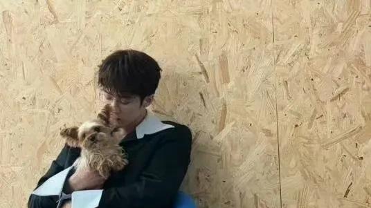 2025顶级美男出炉，肖战登顶，檀健次15成毅13李现10酷盖3于妲己2